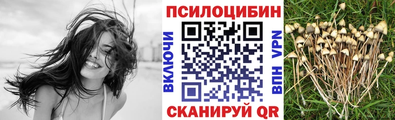 где продают наркотики  Ува  Псилоцибиновые грибы прущие грибы 